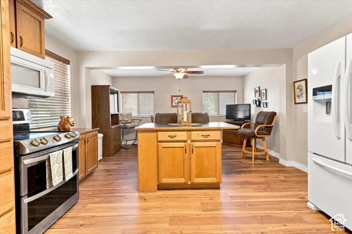 107 E 200 N, Mt Pleasant, Utah 84647