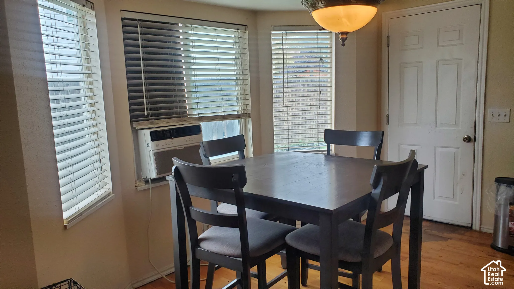 Wood-finish flooring with a white door and a window