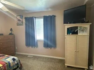 Textured carpeting, light wall paint, and a window with blinds