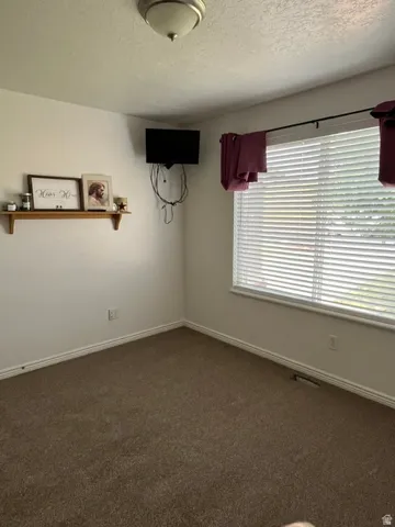 Recessed window with blinds, wall-to-wall carpeting, and flush mount ceiling light
