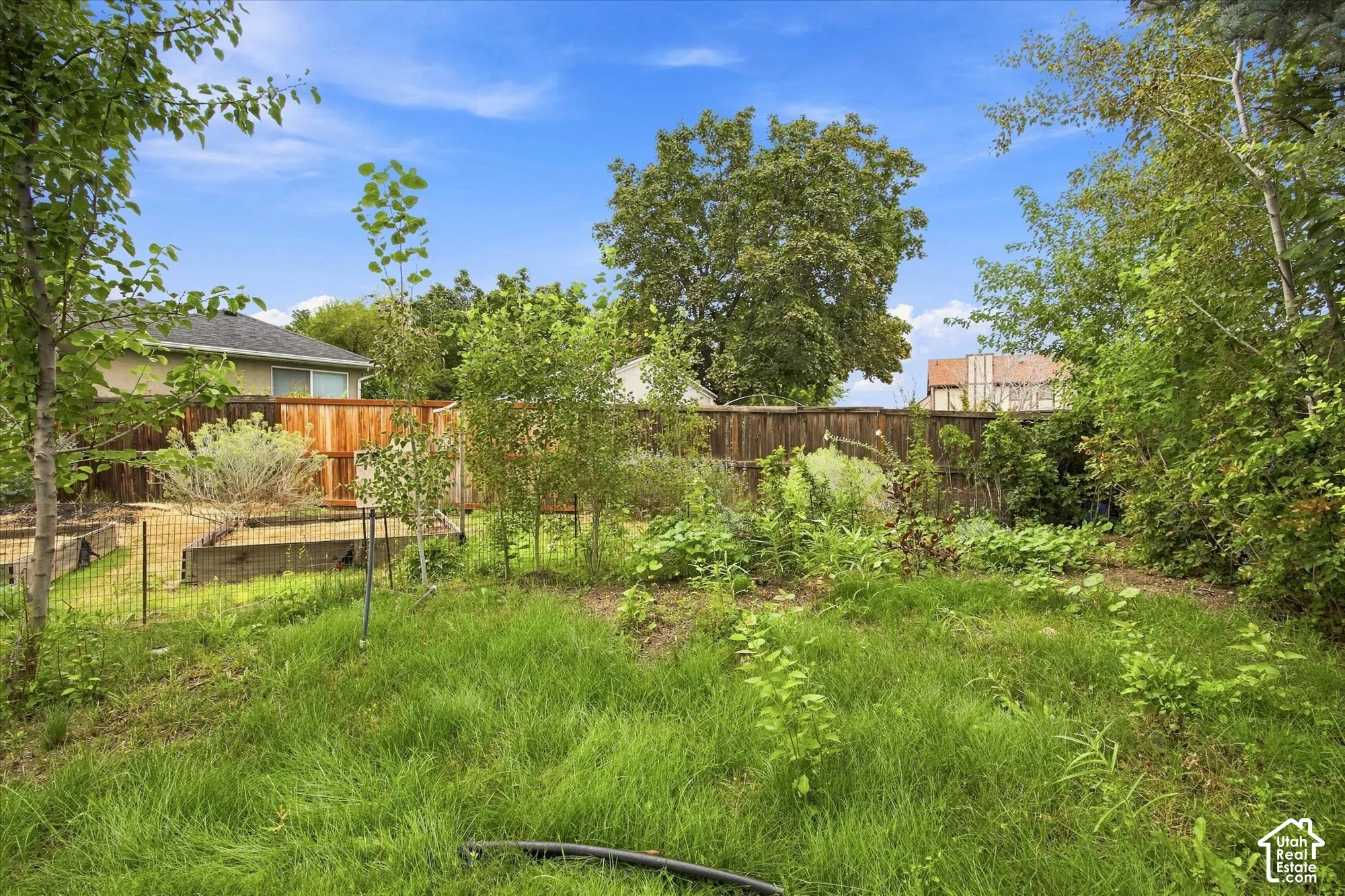 Expansive backyard with a mix of established trees and greenery, featuring raised garden beds with fencing, and a perimeter wood privacy fence