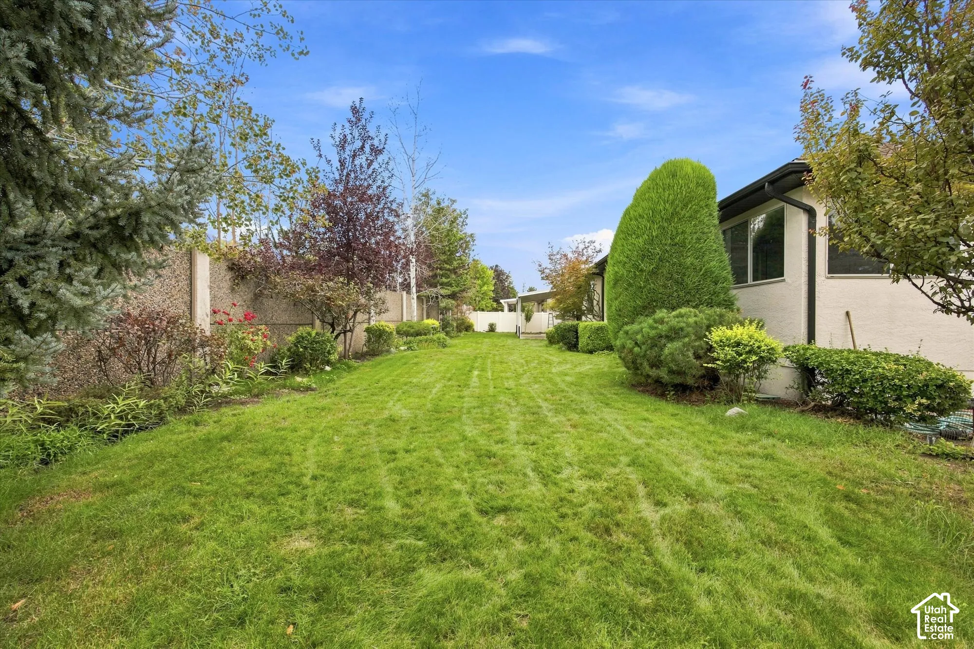 Expansive green lawn, mature trees, concrete privacy wall, manicured shrubbery, and exterior windows