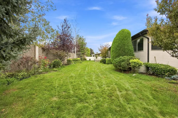 Expansive green lawn, mature trees, concrete privacy wall, manicured shrubbery, and exterior windows