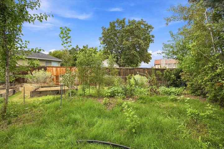 Expansive backyard with a mix of established trees and greenery, featuring raised garden beds with fencing, and a perimeter wood privacy fence