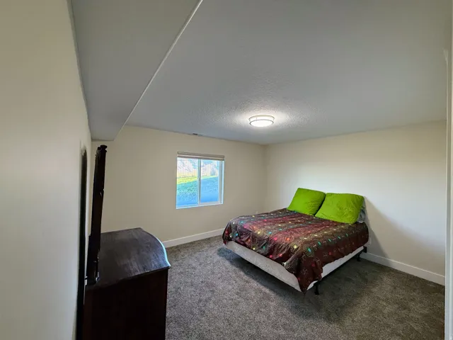 Recessed window with exterior scenery, textured ceiling, flush-mount ceiling light fixture, neutral wall color, and wall-to-wall carpeting