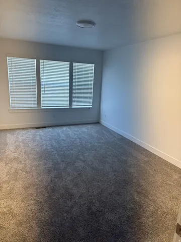 Wall-to-wall carpeting and triple windows with blinds