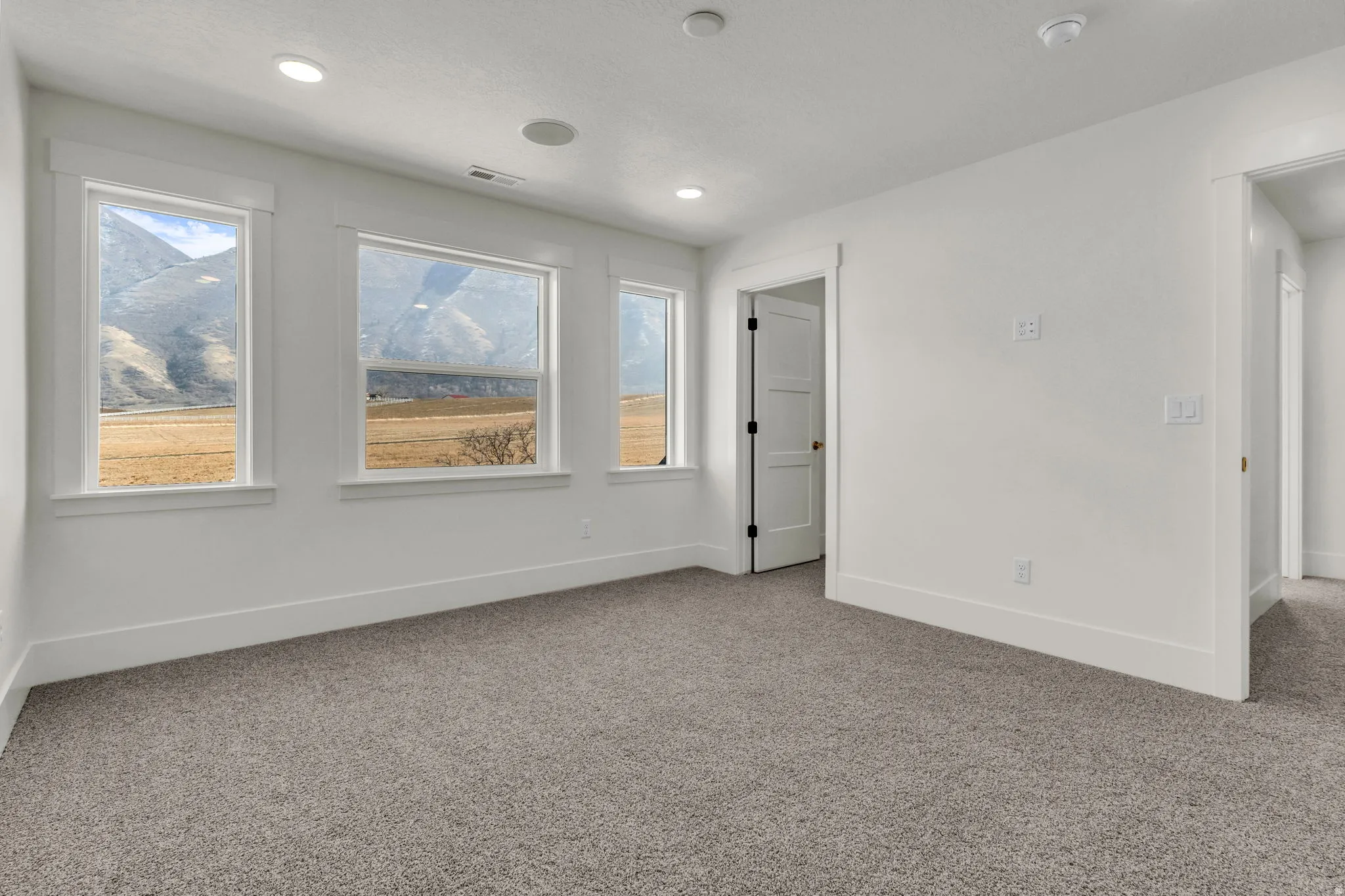 White walls, recessed lighting, gray carpet, white trim, and multiple windows