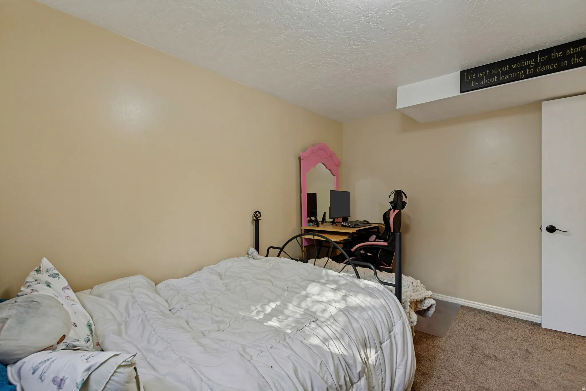 Carpeted flooring, neutral wall tones, and a white interior door with dark hardware