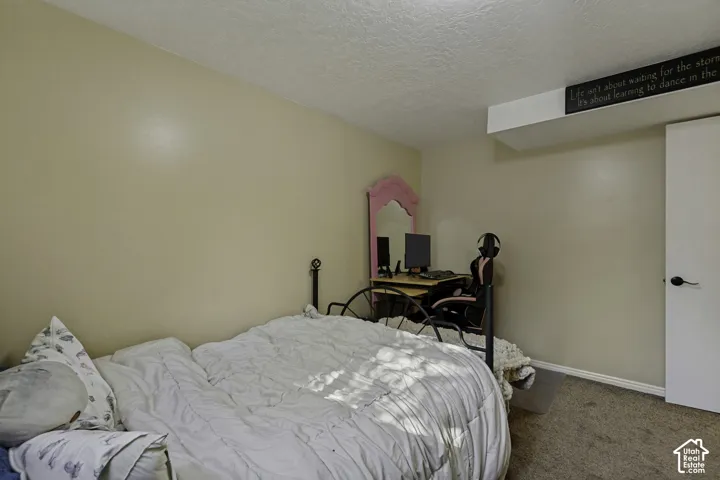 Carpeted flooring, neutral wall tones, and a white interior door with dark hardware