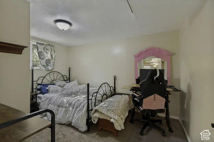 Wall-to-wall carpeting and a ceiling-mounted light fixture