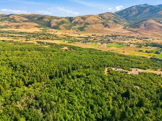 2687 E Arrowleaf Ln, Liberty, Utah 84310