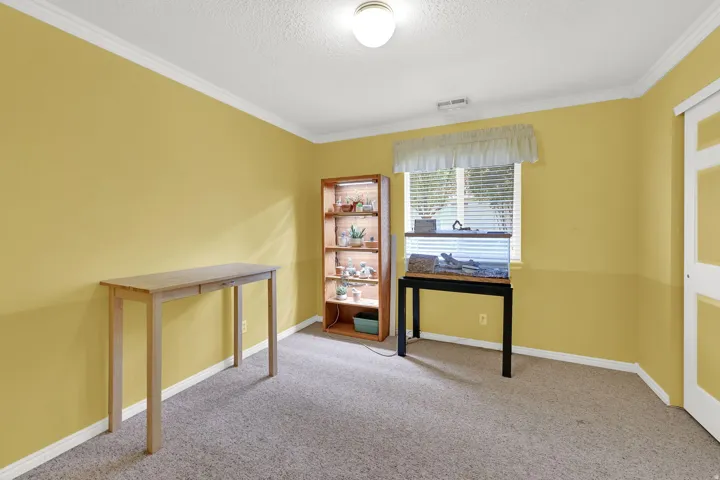 Carpeted flooring, crown molding, and a window with blinds