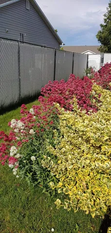 Flowers throughout the yard