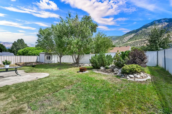 Expansive backyard featuring a concrete patio, mature trees, a storage shed, and a chain-link fence
