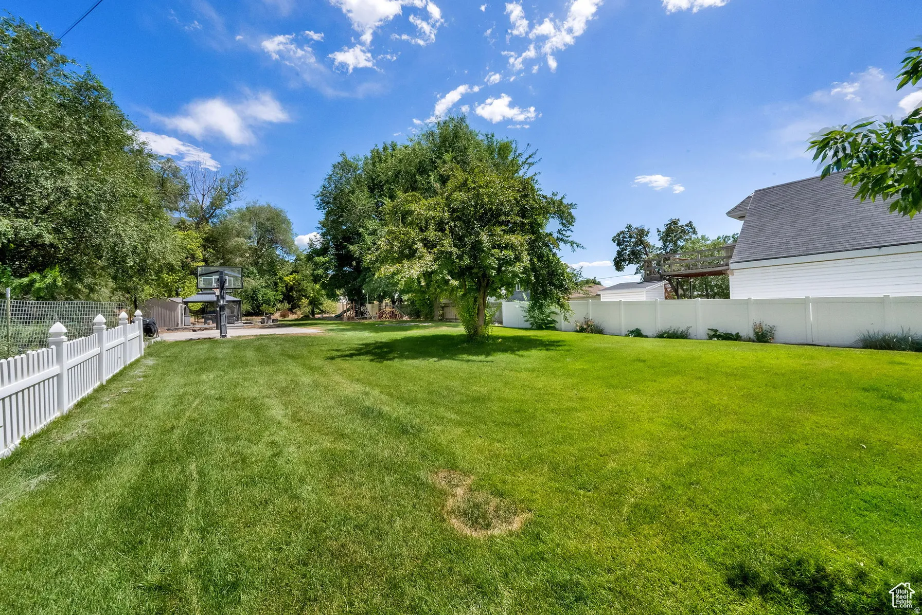 Expansive backyard featuring a mature shade tree, manicured lawn, and white picket fencing