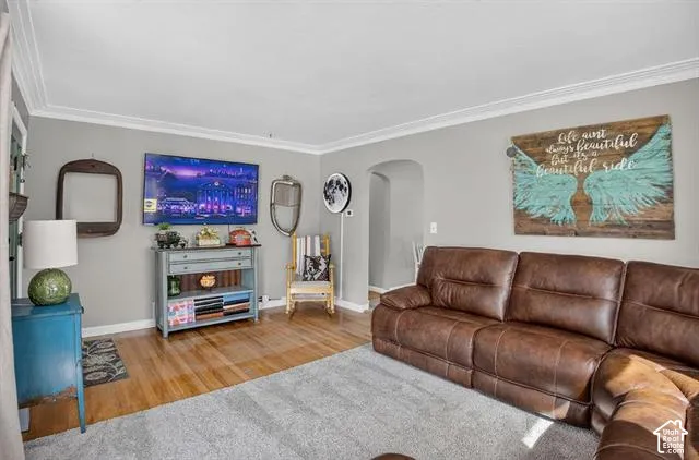 Wood-finish flooring, light gray wall paint, crown molding, and an arched doorway