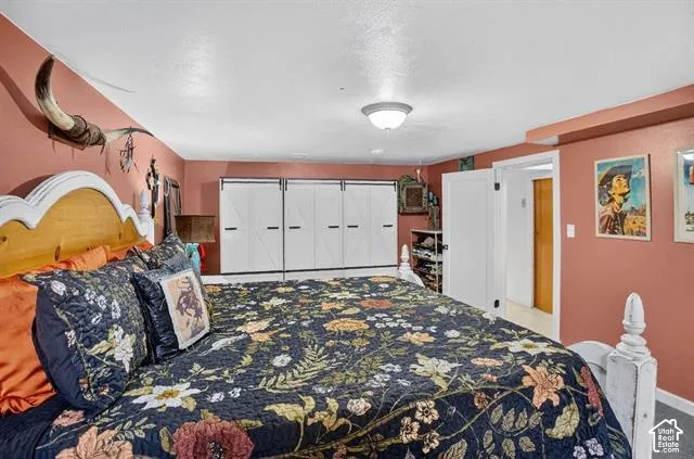 Built-in closet with white barn-door style fronts, flush-mount ceiling light fixture, and white painted trim