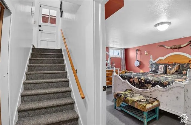 Carpeted staircase with wood handrail, leading to a white paneled door with windowpanes