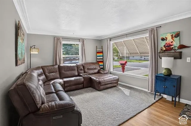 Crown molding, expansive front window, secondary window, wall-to-wall carpeting, wood-finish flooring