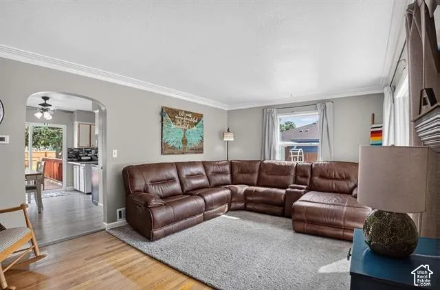 Hardwood flooring, light gray wall paint, white crown molding, a window with exterior visibility, and an arched doorway