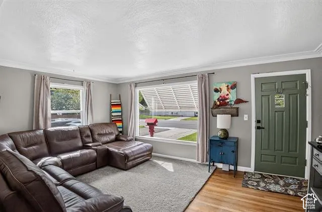 Front entry with wood-finish flooring, paneled door, and multiple windows