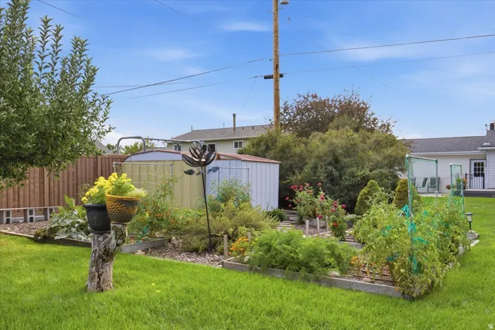 Expansive green lawn, raised garden beds, mature landscaping, wood fence, and storage shed