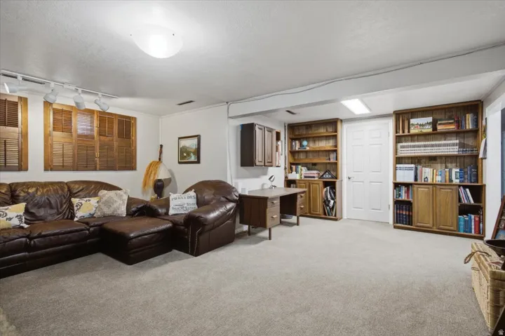 Ceiling mounted lighting, track lighting, built-in shelving, wood-finish window shutters, and a white interior door