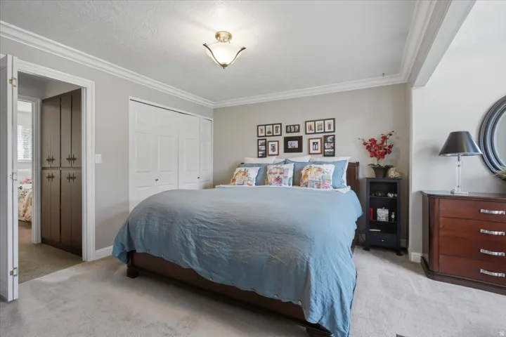 Plush carpet flooring, crown molding, and a built-in closet with bi-fold doors