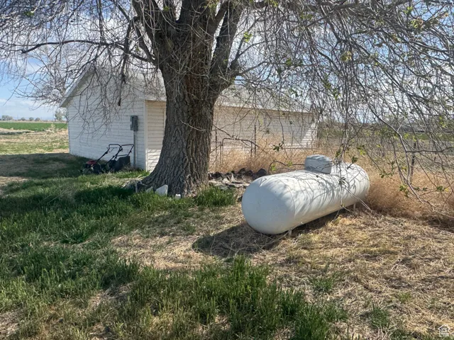 White horizontal propane tank positioned in a grassy area with a mature tree