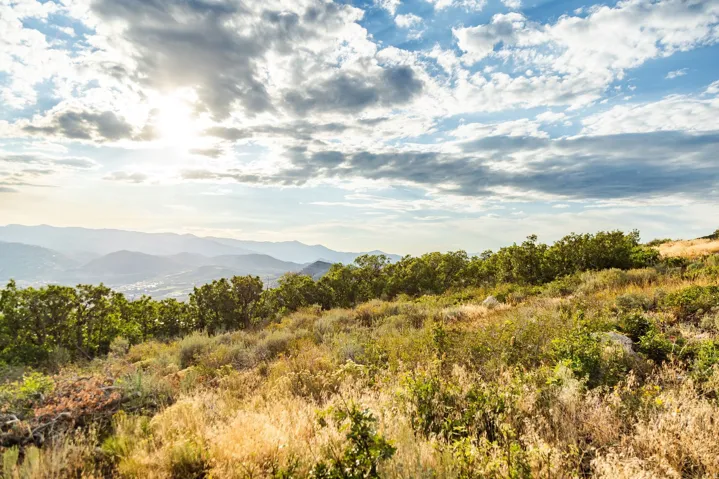 11499 N Penstemon Way, Hideout, Utah 84036