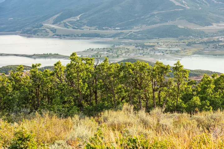 11499 N Penstemon Way, Hideout, Utah 84036