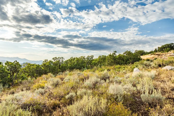 11499 N Penstemon Way, Hideout, Utah 84036