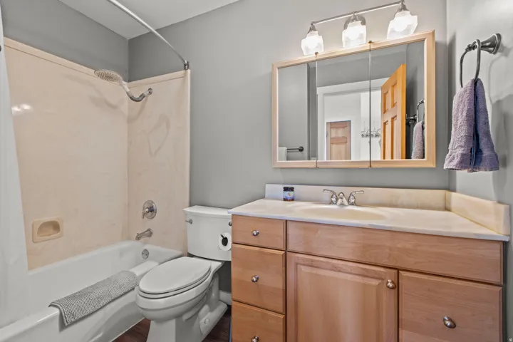 Bathroom featuring a light wood-finish vanity with a built-in sink, a wall-mounted medicine cabinet, and a bathtub with an integrated shower