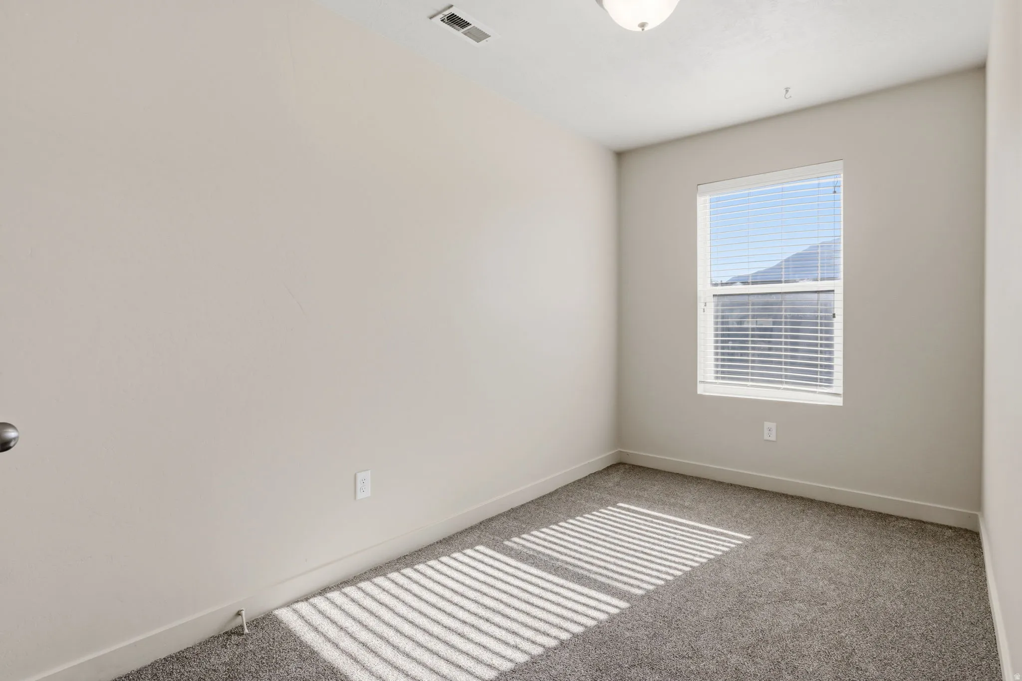 Neutral wall paint with carpet flooring, a single window with blinds, and a flush mount ceiling light