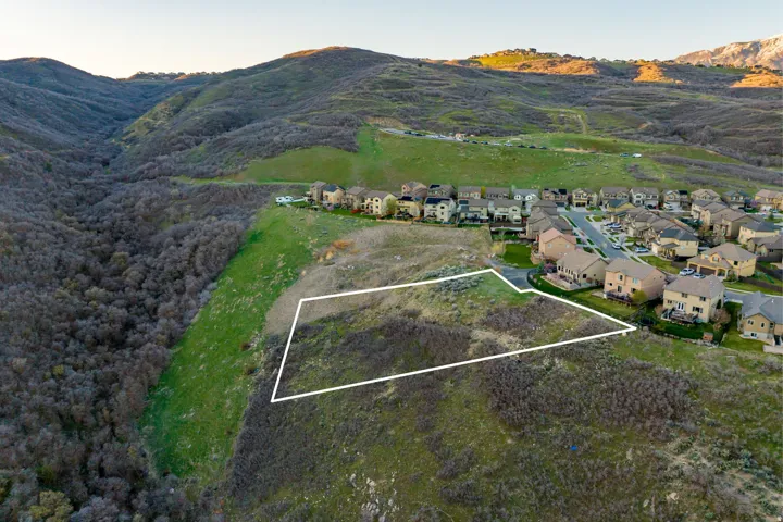 Expansive undeveloped lot featuring natural vegetation, adjacent to developed residential properties