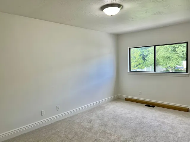 Plush carpeting, recessed window, and flush mount ceiling light fixture