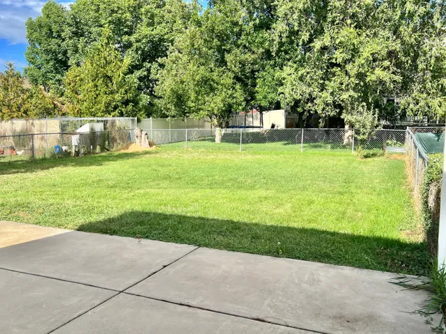 Expansive backyard with a manicured lawn, mature trees, and concrete patio
