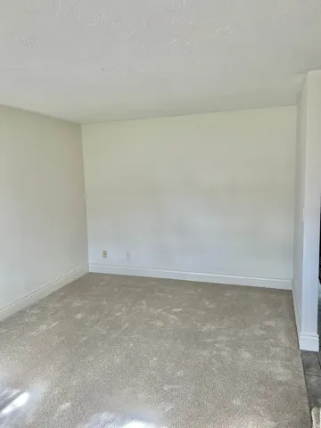 Plush carpeting and neutral wall tones