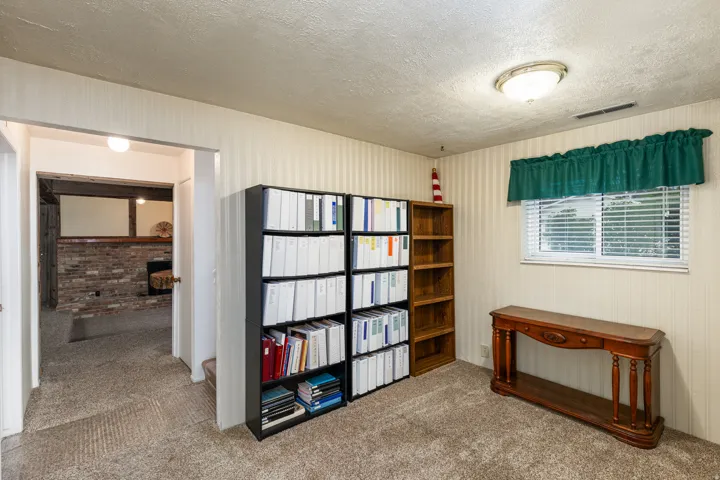 Versatile bonus room featuring wall-to-wall built-in shelving with black metal framework, carpeted flooring, and natural light from dual windows with green valance