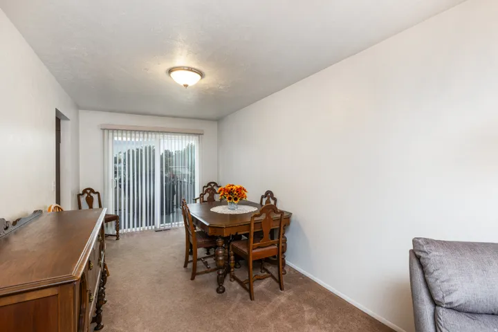 Sliding glass door with vertical blinds, carpet flooring, and ceiling-mounted light fixture