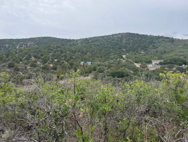 Wooded hillside landscape with distant structures and mature vegetation