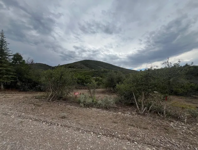 Wooded landscape with a gravel road and distant hills