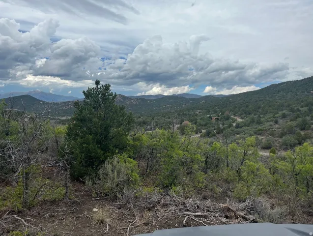 Mountainous terrain with natural vegetation and distant peaks