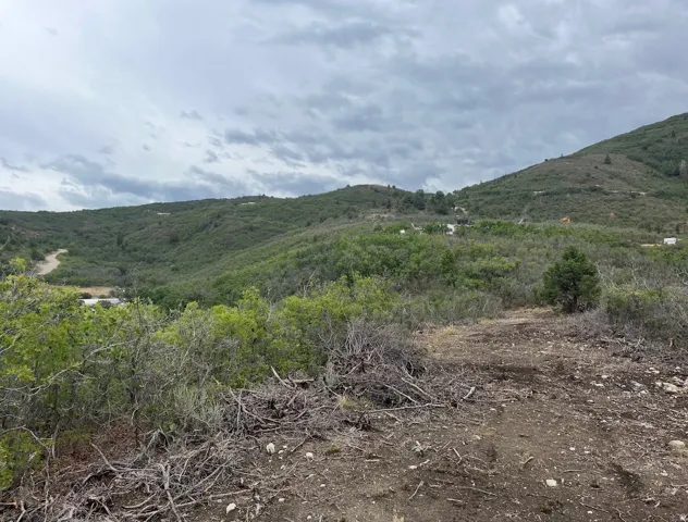 Expansive undeveloped land featuring natural terrain and established greenery
