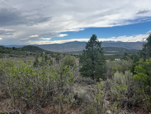 Expansive natural landscape featuring varied shrubbery and distant mountain ranges