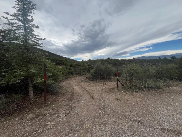 Expansive natural landscape with mature evergreen trees, a winding dirt road, and distant mountains under a dramatic sky
