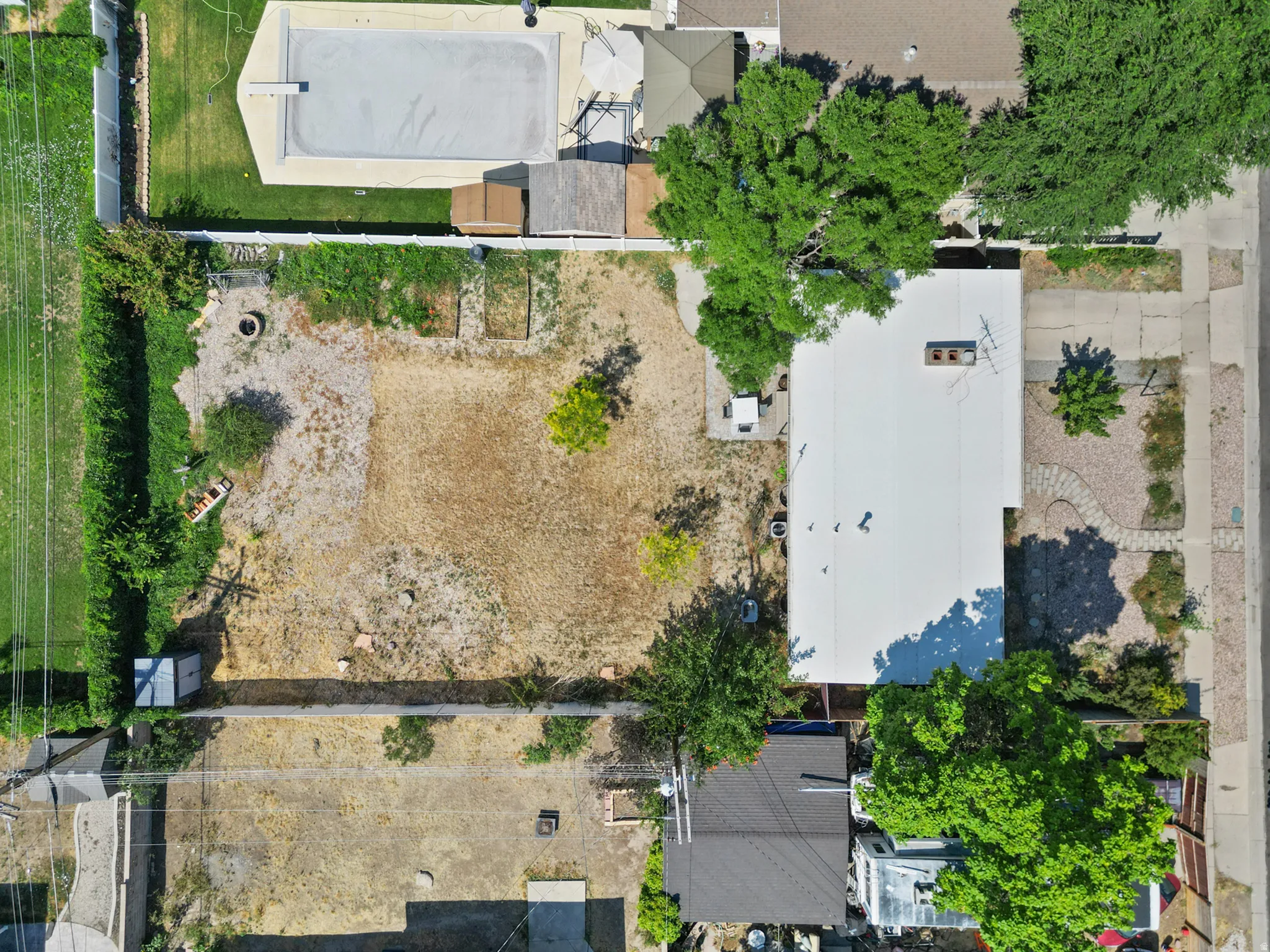 Expansive lot with established trees and a paved walkway