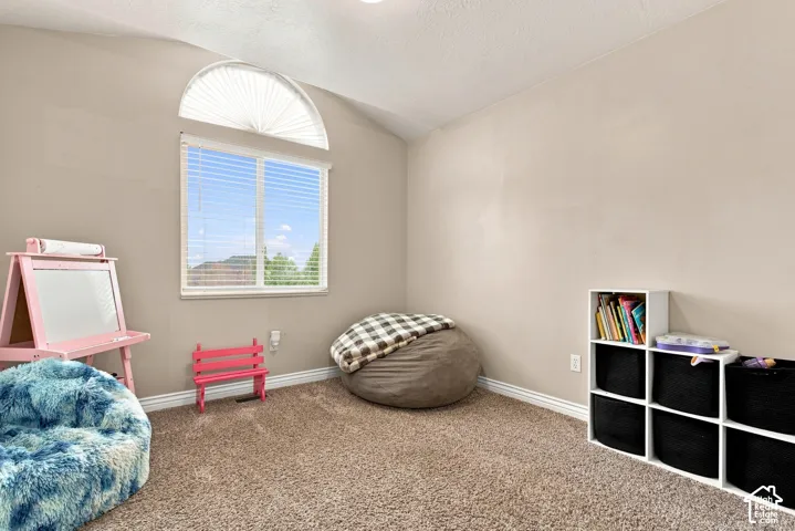 Vaulted ceiling with an arched window, white window blinds, and neutral wall paint