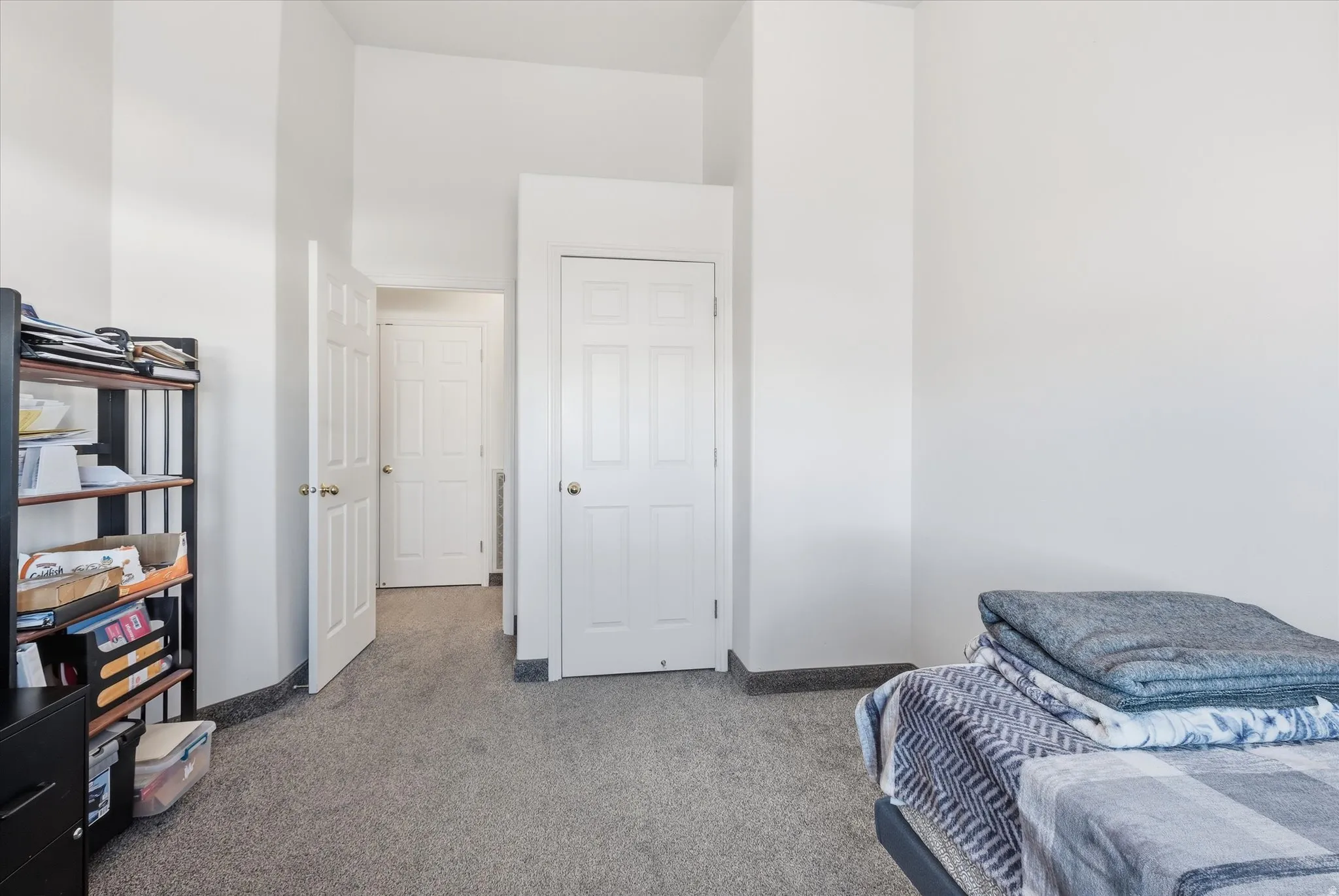 Neutral wall palette with textured carpeting, paneled interior doors, and a built-in closet