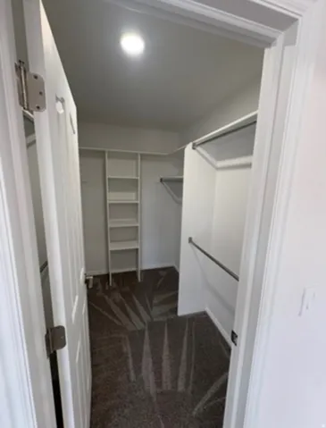 Walk-in closet featuring built-in shelving, chrome hanging rods, and patterned carpeting